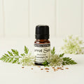 Carrot Seed Essential oil 5 ml