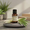 Citronella Essential Oil 15 ml