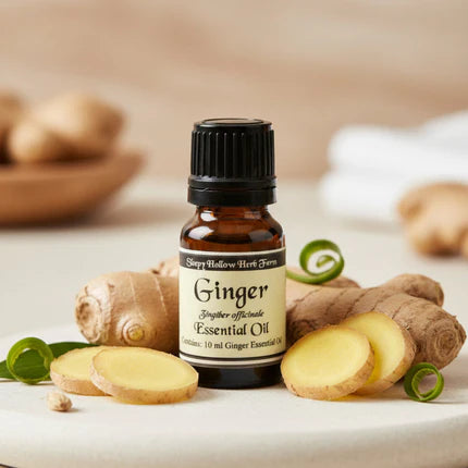 Ginger Essential Oil 10 ml