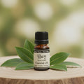 Bay Essential Oil 5 ML