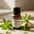 Oregano Essentail Oil  10 ml